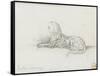 Etude de panthère pour "Salomé dansant devant Hérode"-Gustave Moreau-Framed Stretched Canvas