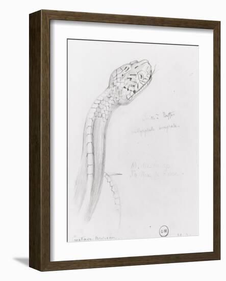 Etude de serpent pour Hercule et l'hydre de Lerne-Gustave Moreau-Framed Giclee Print