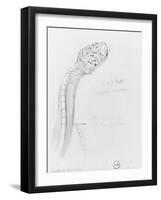 Etude de serpent pour Hercule et l'hydre de Lerne-Gustave Moreau-Framed Giclee Print