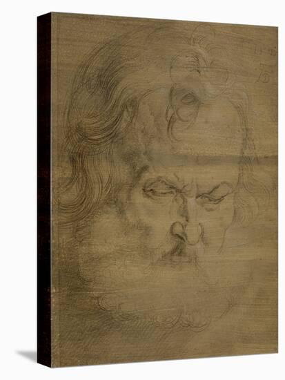 Etude de tête d'homme barbu pour l'apôtre Pierre du tableau de Munich-Albrecht Dürer-Stretched Canvas