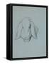 Etude de tête de cochon-Thomas Couture-Framed Stretched Canvas
