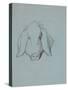 Etude de tête de cochon-Thomas Couture-Stretched Canvas