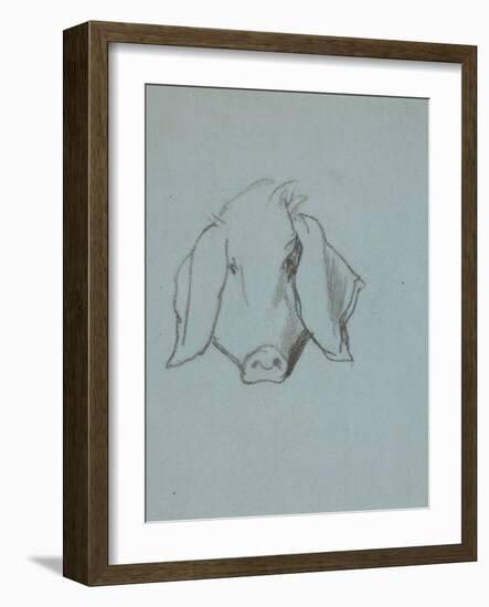 Etude de tête de cochon-Thomas Couture-Framed Giclee Print