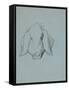 Etude de tête de cochon-Thomas Couture-Framed Stretched Canvas