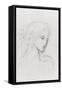 Etude de tête pour la fée aux griffons-Gustave Moreau-Framed Stretched Canvas
