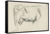 Etude de vache-Emile Wauters-Framed Stretched Canvas