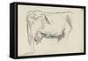 Etude de vache-Emile Wauters-Framed Stretched Canvas