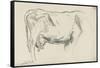 Etude de vache-Emile Wauters-Framed Stretched Canvas