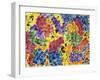 Etude Lyonnais No.8-Mark Ari-Framed Giclee Print