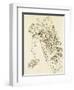 Etude pour Galatée-Gustave Moreau-Framed Premium Giclee Print