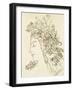 Etude pour Galatée-Gustave Moreau-Framed Giclee Print