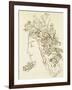 Etude pour Galatée-Gustave Moreau-Framed Giclee Print