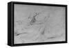 Etude pour l'Odalisque à l'esclave-Jean-Auguste-Dominique Ingres-Framed Stretched Canvas