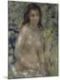 Etude.Torse, effet de soleil-Pierre-Auguste Renoir-Mounted Giclee Print