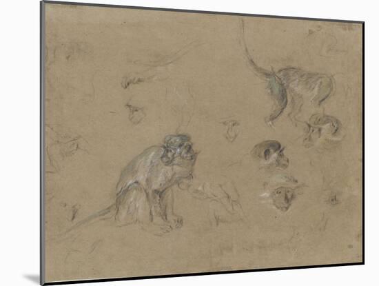 études d'après un singe-Pieter Boel-Mounted Giclee Print