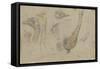 Etudes d'autruches-Pieter Boel-Framed Stretched Canvas