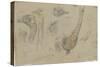 Etudes d'autruches-Pieter Boel-Stretched Canvas