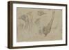 Etudes d'autruches-Pieter Boel-Framed Giclee Print