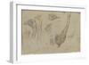 Etudes d'autruches-Pieter Boel-Framed Giclee Print