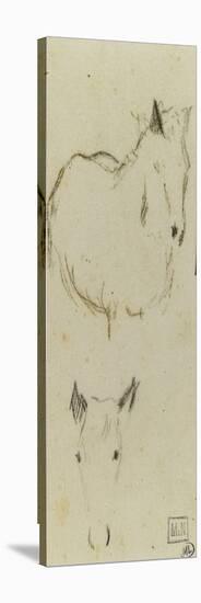 Etudes d'un cheval vu de face, sans les jambes ; tête de cheval-Paul Gauguin-Stretched Canvas