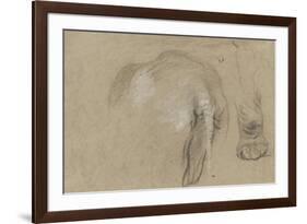 Etudes d'un éléphant, pied et corps vu de dos-Pieter Boel-Framed Giclee Print