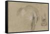 Etudes d'un éléphant, pied et corps vu de dos-Pieter Boel-Framed Stretched Canvas