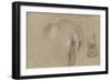 Etudes d'un éléphant, pied et corps vu de dos-Pieter Boel-Framed Giclee Print