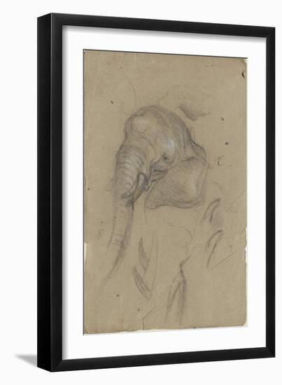 Etudes d'une tête d'éléphant et de défenses-Pieter Boel-Framed Giclee Print