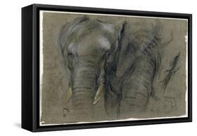 Etudes d'une tête d'éléphant-Pieter Boel-Framed Stretched Canvas