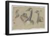 Etudes de bernaches-Pieter Boel-Framed Giclee Print