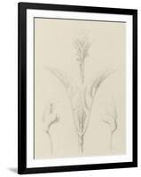 Etudes de bourgeons, pomme de terre, dahlia, haricot entre 1866 et 1876-Robert-Victor-Marie-Charles Ruprich-Framed Giclee Print