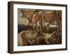 Etudes de cinq vaches-Jacob Jordaens-Framed Giclee Print