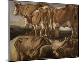 Etudes de cinq vaches-Jacob Jordaens-Mounted Giclee Print