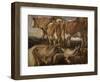 Etudes de cinq vaches-Jacob Jordaens-Framed Giclee Print