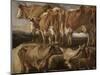 Etudes de cinq vaches-Jacob Jordaens-Mounted Giclee Print