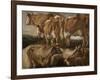 Etudes de cinq vaches-Jacob Jordaens-Framed Giclee Print