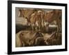 Etudes de cinq vaches-Jacob Jordaens-Framed Giclee Print