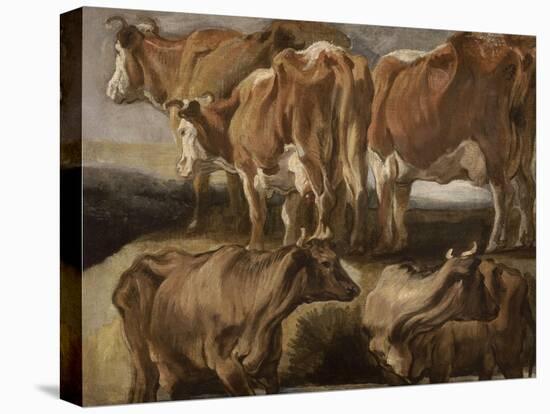 Etudes de cinq vaches-Jacob Jordaens-Stretched Canvas