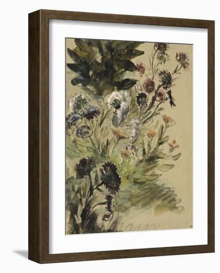 Etudes de fleurs : Soucis, hortensias et reines- marguerites; vers 1840-1850-Eugene Delacroix-Framed Giclee Print