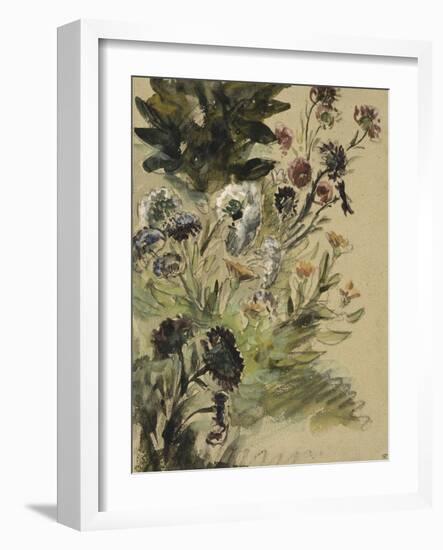 Etudes de fleurs : Soucis, hortensias et reines- marguerites; vers 1840-1850-Eugene Delacroix-Framed Giclee Print