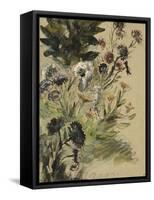 Etudes de fleurs : Soucis, hortensias et reines- marguerites; vers 1840-1850-Eugene Delacroix-Framed Stretched Canvas