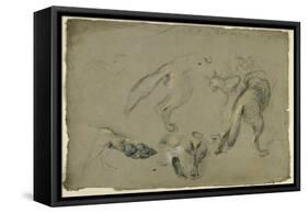 Etudes de loups, pattes, tête, et corps vu de dos-Pieter Boel-Framed Stretched Canvas