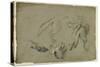 Etudes de loups, pattes, tête, et corps vu de dos-Pieter Boel-Stretched Canvas
