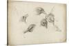 Etudes de têtes de corneilles-Pieter Boel-Stretched Canvas