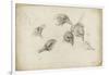Etudes de têtes de corneilles-Pieter Boel-Framed Giclee Print