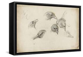 Etudes de têtes de corneilles-Pieter Boel-Framed Stretched Canvas