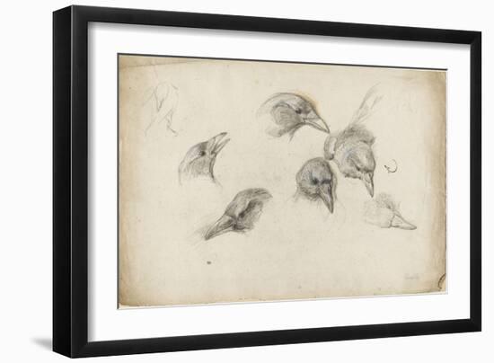 Etudes de têtes de corneilles-Pieter Boel-Framed Giclee Print