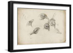 Etudes de têtes de corneilles-Pieter Boel-Framed Giclee Print