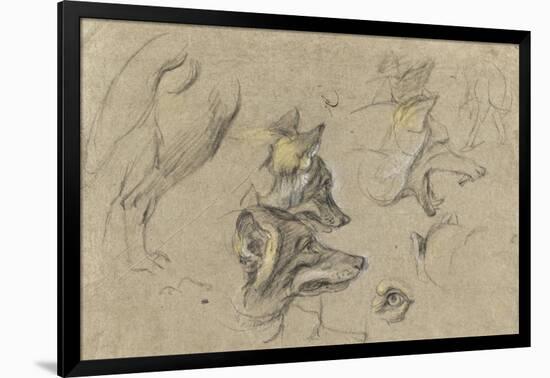 Etudes de têtes de loups et de détails du corps-Pieter Boel-Framed Giclee Print