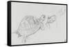 Etudes de tortue-Gustave Moreau-Framed Stretched Canvas